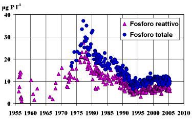 Fig. 1.	Lago Maggiore: andamento delle concentrazioni di fosforo reattivo e totale dal 1956 al 2004 (valori medi dalla superficie al fondo nella stazione di massima profondità).