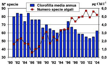 Fig. 3.	Lago Maggiore. Andamento della clorofilla (valori medi annuali) e del numero di specie di fitoplancton dal 1981 al 2004